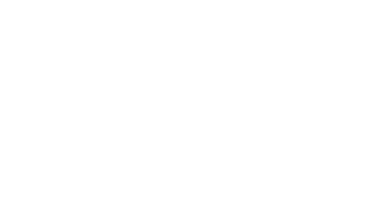 FEM Free Expression Method
