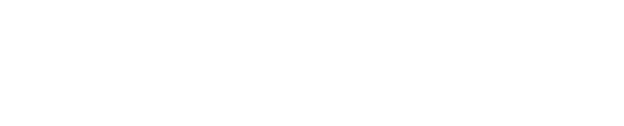 Law Office of Shelle-Ann Simon